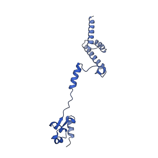29266_8fl3_LD_v1-1
Human nuclear pre-60S ribosomal subunit (State I2)