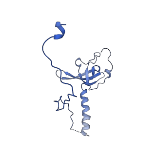 29266_8fl3_LE_v1-1
Human nuclear pre-60S ribosomal subunit (State I2)