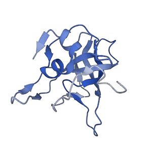 29266_8fl3_LG_v1-1
Human nuclear pre-60S ribosomal subunit (State I2)