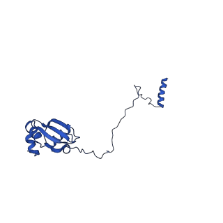 29266_8fl3_LH_v1-1
Human nuclear pre-60S ribosomal subunit (State I2)