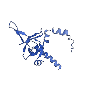 29266_8fl3_LI_v1-1
Human nuclear pre-60S ribosomal subunit (State I2)