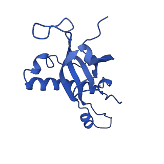 29266_8fl3_LJ_v1-1
Human nuclear pre-60S ribosomal subunit (State I2)