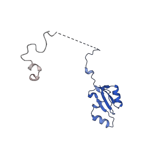 29266_8fl3_LK_v1-1
Human nuclear pre-60S ribosomal subunit (State I2)