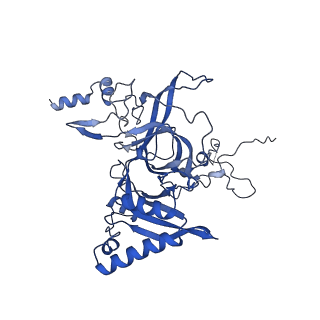 29266_8fl3_LN_v1-1
Human nuclear pre-60S ribosomal subunit (State I2)
