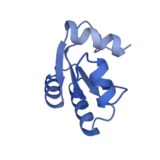 29266_8fl3_LO_v1-1
Human nuclear pre-60S ribosomal subunit (State I2)