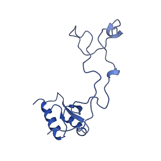 29266_8fl3_LQ_v1-1
Human nuclear pre-60S ribosomal subunit (State I2)