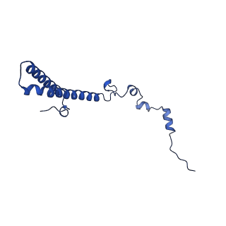29266_8fl3_LS_v1-1
Human nuclear pre-60S ribosomal subunit (State I2)
