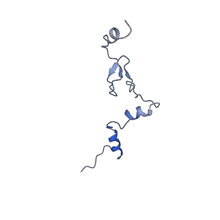29266_8fl3_LW_v1-1
Human nuclear pre-60S ribosomal subunit (State I2)