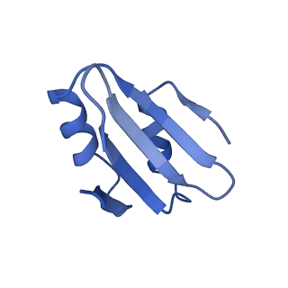 29266_8fl3_LY_v1-1
Human nuclear pre-60S ribosomal subunit (State I2)