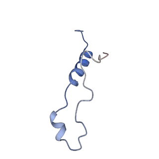 29266_8fl3_LZ_v1-1
Human nuclear pre-60S ribosomal subunit (State I2)
