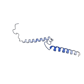 29266_8fl3_NB_v1-1
Human nuclear pre-60S ribosomal subunit (State I2)