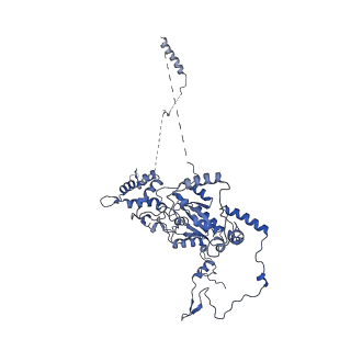 29266_8fl3_NC_v1-1
Human nuclear pre-60S ribosomal subunit (State I2)