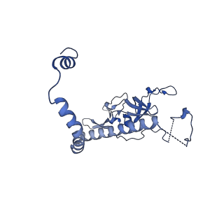 29266_8fl3_NF_v1-1
Human nuclear pre-60S ribosomal subunit (State I2)