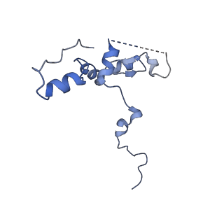 29266_8fl3_NP_v1-1
Human nuclear pre-60S ribosomal subunit (State I2)