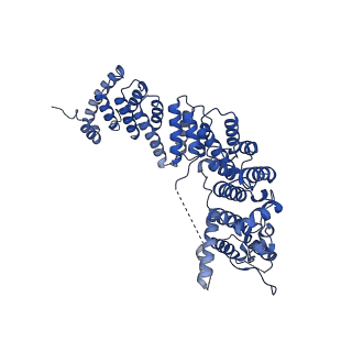 29266_8fl3_NT_v1-1
Human nuclear pre-60S ribosomal subunit (State I2)