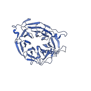 29266_8fl3_NV_v1-1
Human nuclear pre-60S ribosomal subunit (State I2)