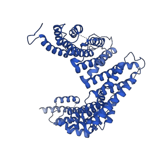 29266_8fl3_NY_v1-1
Human nuclear pre-60S ribosomal subunit (State I2)