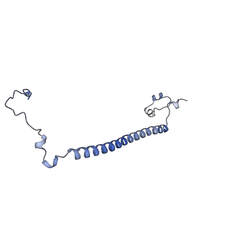 29266_8fl3_NZ_v1-1
Human nuclear pre-60S ribosomal subunit (State I2)