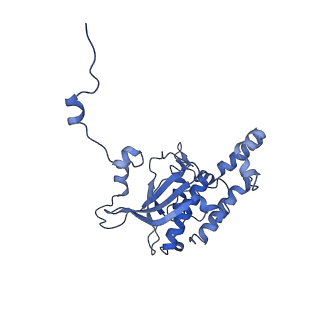 29266_8fl3_SB_v1-1
Human nuclear pre-60S ribosomal subunit (State I2)