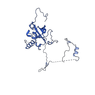 29266_8fl3_SC_v1-1
Human nuclear pre-60S ribosomal subunit (State I2)
