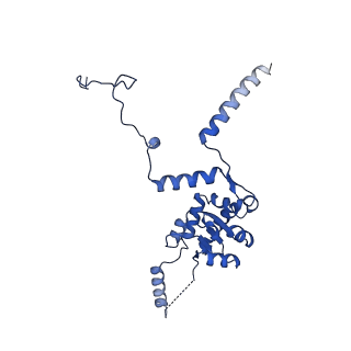 29266_8fl3_SE_v1-1
Human nuclear pre-60S ribosomal subunit (State I2)