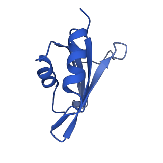 29266_8fl3_SH_v1-1
Human nuclear pre-60S ribosomal subunit (State I2)