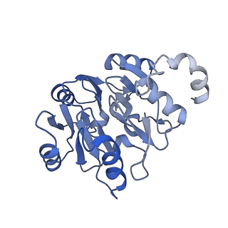 29266_8fl3_SK_v1-1
Human nuclear pre-60S ribosomal subunit (State I2)