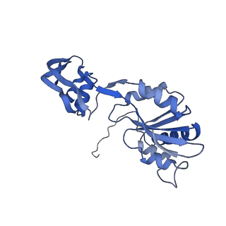 29266_8fl3_SQ_v1-1
Human nuclear pre-60S ribosomal subunit (State I2)