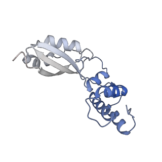 29267_8fl4_BA_v1-1
Human nuclear pre-60S ribosomal subunit (State I3)