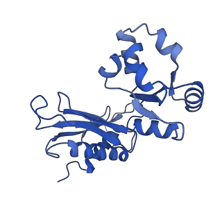 29267_8fl4_BB_v1-1
Human nuclear pre-60S ribosomal subunit (State I3)