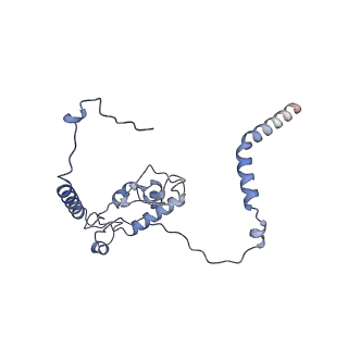 29267_8fl4_L6_v1-1
Human nuclear pre-60S ribosomal subunit (State I3)
