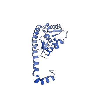29267_8fl4_L7_v1-1
Human nuclear pre-60S ribosomal subunit (State I3)