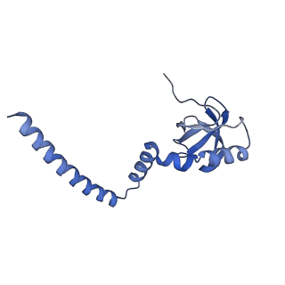 29267_8fl4_L8_v1-1
Human nuclear pre-60S ribosomal subunit (State I3)