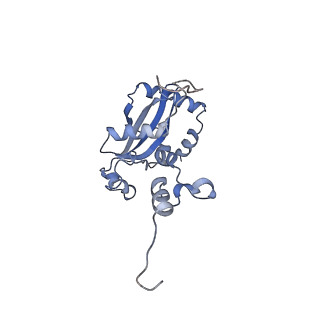 29267_8fl4_L9_v1-1
Human nuclear pre-60S ribosomal subunit (State I3)