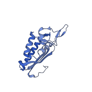 29267_8fl4_LA_v1-1
Human nuclear pre-60S ribosomal subunit (State I3)