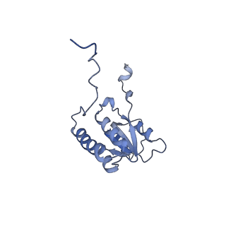 29267_8fl4_LB_v1-1
Human nuclear pre-60S ribosomal subunit (State I3)