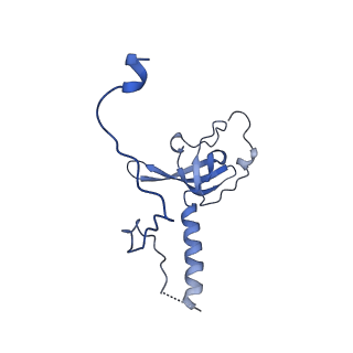 29267_8fl4_LE_v1-1
Human nuclear pre-60S ribosomal subunit (State I3)