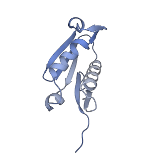 29267_8fl4_LF_v1-1
Human nuclear pre-60S ribosomal subunit (State I3)