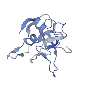 29267_8fl4_LG_v1-1
Human nuclear pre-60S ribosomal subunit (State I3)