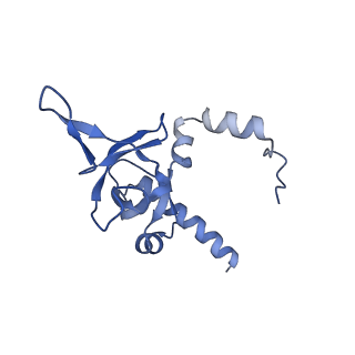 29267_8fl4_LI_v1-1
Human nuclear pre-60S ribosomal subunit (State I3)