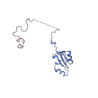 29267_8fl4_LK_v1-1
Human nuclear pre-60S ribosomal subunit (State I3)