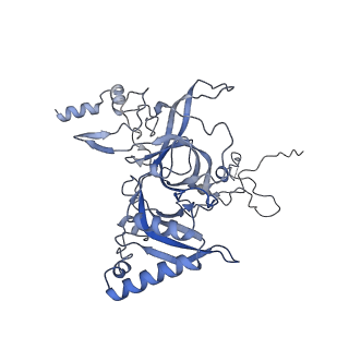 29267_8fl4_LN_v1-1
Human nuclear pre-60S ribosomal subunit (State I3)