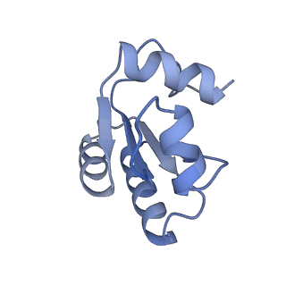29267_8fl4_LO_v1-1
Human nuclear pre-60S ribosomal subunit (State I3)