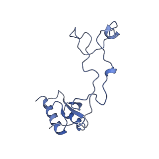 29267_8fl4_LQ_v1-1
Human nuclear pre-60S ribosomal subunit (State I3)
