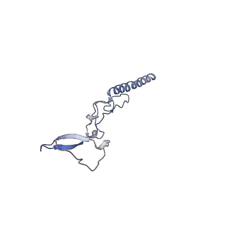 29267_8fl4_LR_v1-1
Human nuclear pre-60S ribosomal subunit (State I3)