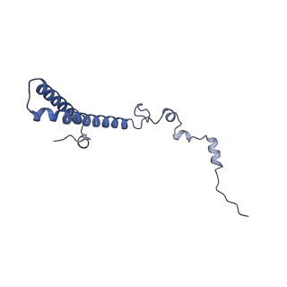 29267_8fl4_LS_v1-1
Human nuclear pre-60S ribosomal subunit (State I3)