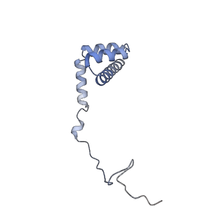 29267_8fl4_LU_v1-1
Human nuclear pre-60S ribosomal subunit (State I3)