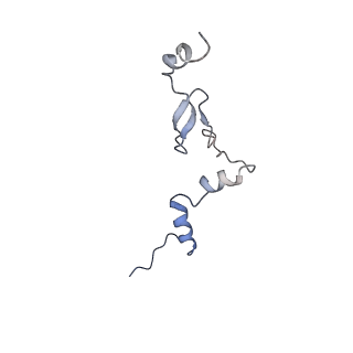 29267_8fl4_LW_v1-1
Human nuclear pre-60S ribosomal subunit (State I3)