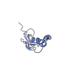 29267_8fl4_LX_v1-1
Human nuclear pre-60S ribosomal subunit (State I3)