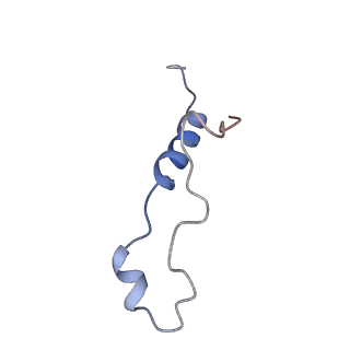 29267_8fl4_LZ_v1-1
Human nuclear pre-60S ribosomal subunit (State I3)